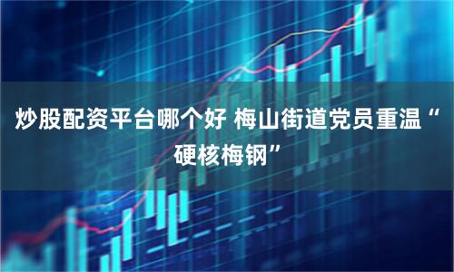 炒股配资平台哪个好 梅山街道党员重温“硬核梅钢”