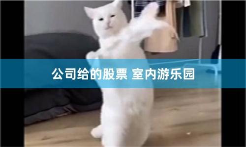 公司给的股票 室内游乐园