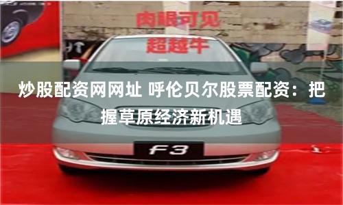 炒股配资网网址 呼伦贝尔股票配资：把握草原经济新机遇