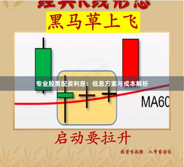专业股票配资利息:低息方案与成本解析