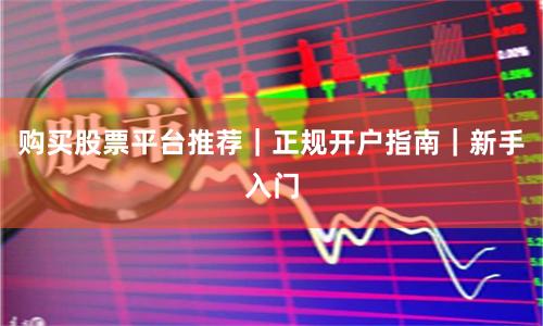 购买股票平台推荐｜正规开户指南｜新手入门