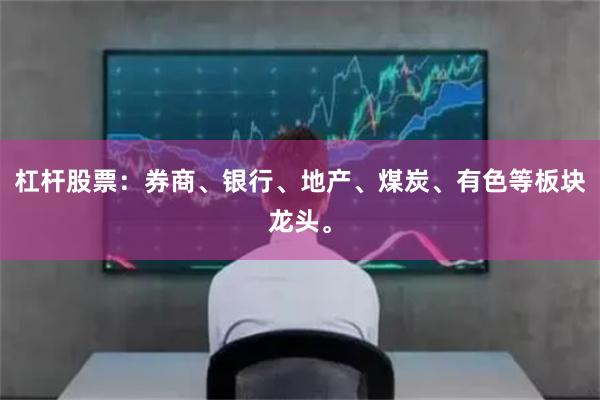 杠杆股票：券商、银行、地产、煤炭、有色等板块龙头。