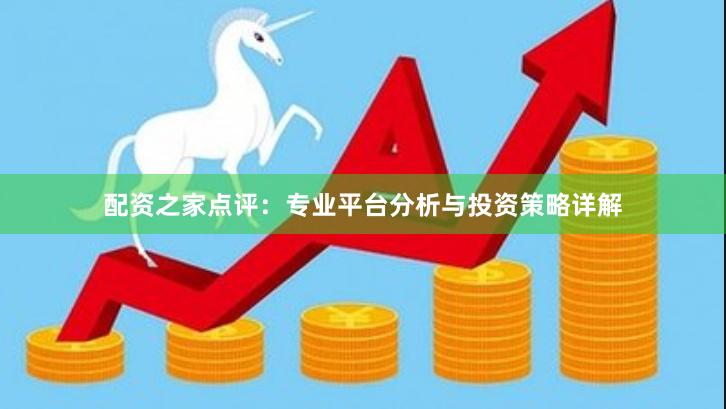 配资之家点评：专业平台分析与投资策略详解