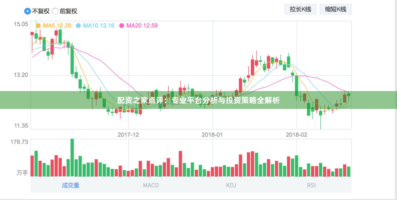 配资之家点评：专业平台分析与投资策略全解析