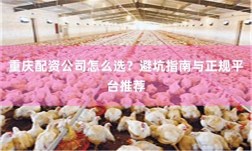 重庆配资公司怎么选？避坑指南与正规平台推荐